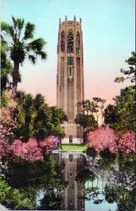 Singing Tower Lake Wales Florida Unposted Postcard - Picture 1 of 2