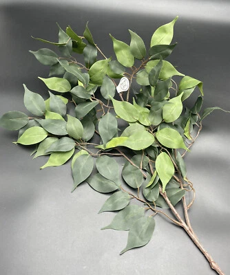 Ficus Branch Floral Stem Hobby Lobby 26" x 15" 738690 - Image 1 of 4