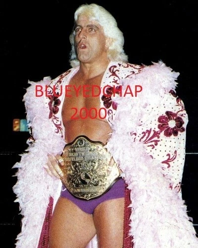 RIC FLAIR WRESTLER 8 X 10 WRESTLING PHOTO NWA WCW WWF - Image 1 of 1