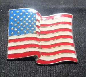 USA Flag Pin 1 - Picture 1 of 5