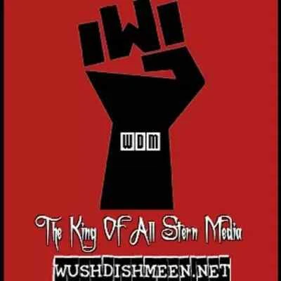 Howard Stern Radio Show WUSHDISHMEEN HDD Colección de Audio (1980-2025) Foto 1 de 4