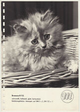 Echtes Original 1940er Jahre, Portät Katze, Mimosa Papier Sample