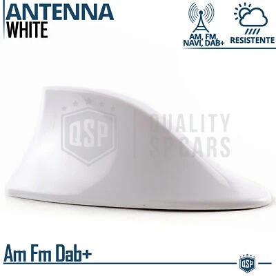 Antenna Auto PINNA DI SQUALO Bianca Universale | VERA Ricezione RADIO AM-FM-DAB+ - Immagine 1 di 4