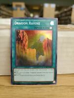Ravin Des Dragons SDDL-FR021-1ere Edition  Yu-Gi-Oh