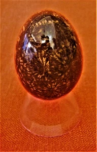 LONDON NATURAL HISTORY MUSEUM POLISHED FOSSILISED CORAL EGG GEMSTONE 4.5 CM $48 - Picture 1 of 3