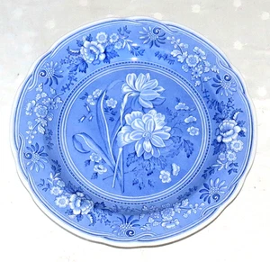 Spode Blue Room Collection Botanical 10.3/8 inch Plate - Excellent - Picture 1 of 2