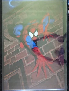 Vintage Poster Spiderman X #173 Daniel Horne Art Unused 1994 22x34 Marvel - Picture 1 of 1