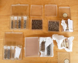 Large Lot of Watch Repair Screws Watchmaker Collection Used. - Picture 1 of 4
