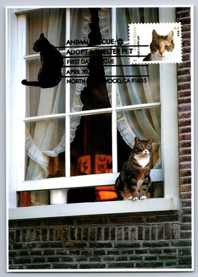 #4453 Animal Rescue Adapt a Pet Cat Calico Cat Maxi Card FDC w/Pictorial Cancel - Image 1 of 2