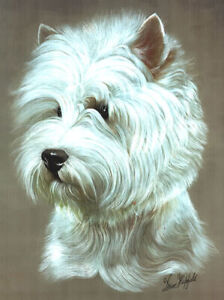 Print of a West Highlands Terrier by Brian Hupfield, Collectable