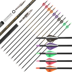 30 Zoll Carbonpfeile SP300-600 Bogenschießen Compound Bogen Recurve Bogen Jagd - Picture 1 of 20
