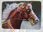 HORSE SWAP CARD~MODERN NEW~STUNNING BURNT PALOMINO HORSE WHITE MANE & BLAZE#78