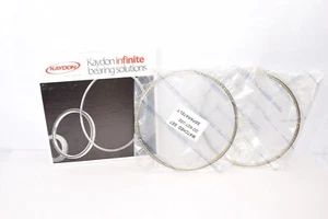 (NEW) KAYDON KA080FR0M KA080FR0 18355 Reali-Slim Section Bearing *Pair* - Picture 1 of 4