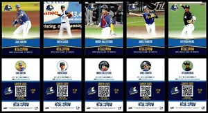 2025 Choice Myrtle Beach Pelikane Aufstieg zur Show Top Aussichten Set 500 Made - Bild 1 von 11