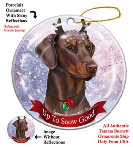 Buen adorno hasta la nieve - Pinscher Doberman rojo sin recortar - Imagen 1 de 1