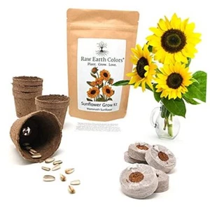 Sunflower Grow Kit with Mammoth Flower Seeds for Planting! - Picture 1 of 6