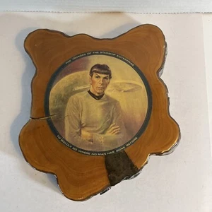 Star Trek Decoupage Mr. Spock Leonard Nimoy Wall Display Hand-crafted Wood Art - Picture 1 of 8