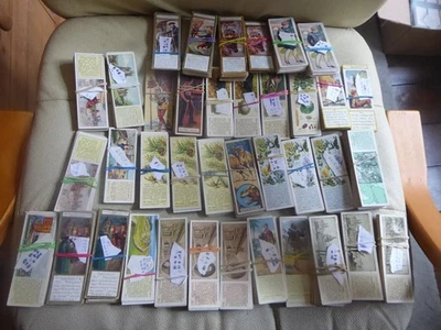 37 PART OR NEAR FULL SETS OF TYPHOO TEA CARDS - Image 1 of 4
