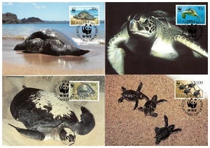 St. Kitts: 1995 ☀ W.W.F. - Fauna Green Sea Turtle ☀ 4x Max cards - Picture 1 of 1