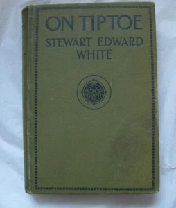@~Vintage 1922~On Tiptoe by Stewart Edward White~HC~LBDWC - Imagen 1 de 10