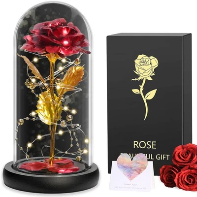 LED Ewige Rose im Glas für Frauen Geburtstag Schöne Biest Valentinstag Geschenk - Bild 1 von 4