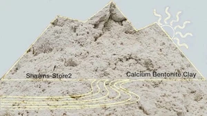 Bentonite Healing Clay 25 lb - Picture 1 of 2