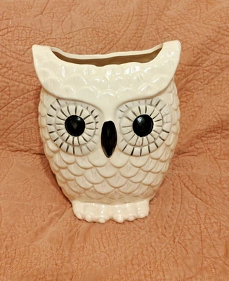 Jarrón decorativo pieza de mesa búho 9,5x7 pulgadas Hoot Owl regalo Foto 1 de 4