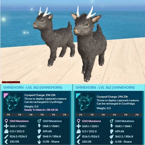 Top Stat Shinehorn Paar - Solid Black - Ark Ascended Crossplay PVE - Bild 1 von 2
