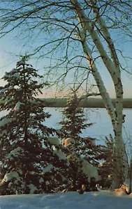 Postkarte Minnesota North Country - Bild 1 von 2