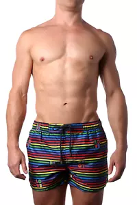 Men's Swimsuit Swim Trunks Large Pride 2(X)Ist Trunks Large Multi-Color NWT O - Picture 1 of 5