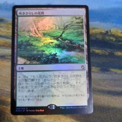 MTG Windswept Heath - Khans of Tarkir - FOIL - JPN - NM condition - Image 1 of 4