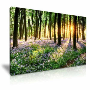 LANDSCHAFT Wald Bluebell Leinwand Wandbild - Bild 1 von 7