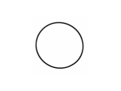 Junta da bomba de água 64276YDPS 2000 2001 2002 2003 para 1999-2004 Chrysler 300M - Imagem 1 de 2