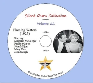DVD "Flaming Waters" (1925) Malcolm McGregor, Pauline Garon,Classic Silent Drama - Picture 1 of 4