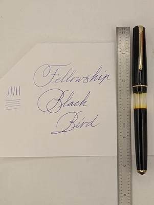 Pluma Estilográfica Fellowship Black Bird Foto 1 de 4