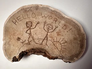 Hand Etched Folk Art Large Conk Tree Shelf Mushroom Pyrography Family Happy Love - Picture 1 of 3