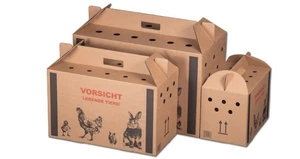 Transportkarton für Kleintiere | mit Tragegriff | Luftlöcher | Tiertransport - Bild 1 von 1
