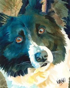 Border Collie Druck von Original Fine Art Aquarell von Ron Krajewski - Bild 1 von 4