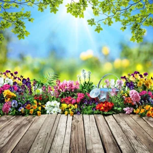 Spring Backdrops for Photography Flowers Wood Floor Photo Background for Kids Ch - Picture 1 of 5