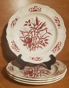 Wedgwood Williamsburg IRIS Salad plate set(s) of 4, 8 3/8", Red, Scalloped, EUC - Picture 1 of 11