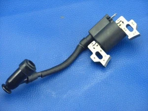 Bobina De Encendido De Einhell GH-PM 46/1 S Cortacésped - Imagen 1 de 1