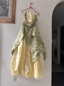 Disney Princess ballgown - Picture 1 of 6