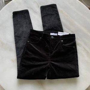 NWT Loft Velour Skinny Pants Size 26 - Picture 1 of 4