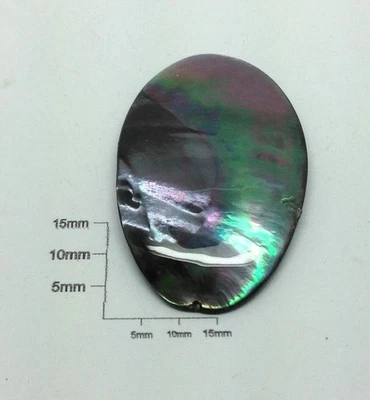 1pc. Black Oval Abalone Shell - Image 1 of 4