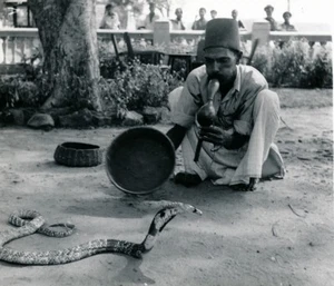 MALACCA c. 1950 - Charmeur de Serpent Malaisie - NV 2749 - Picture 1 of 2