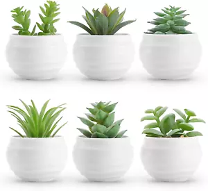 Set of 6 Succulents Plants Artificial in Pots Small Fake Plants for Bedroom Aest - Picture 1 of 12