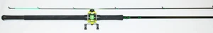 HT JIGGING STICK GRAPHITE CRAPPIE ROD COMBO 12' W/ WR-2 REEL JSG-122 - Picture 1 of 4