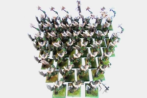 Fuera de existencia Ciudadela / Warhammer Plástico Caos Enano Negro Orco Guerreros - Imagen 1 de 10