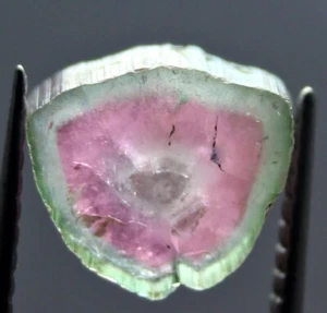 Natural Watermelon Tourmaline Slice Pink & Green Crystal for Jewelry 2.10 Ct - Picture 1 of 9