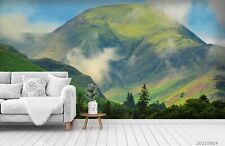 3D Tree Mountain Grassland  Self-adhesive Removeable Wallpaper Wall Mural1 4170